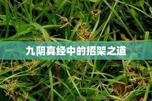 九阴真经中的招架之道图片