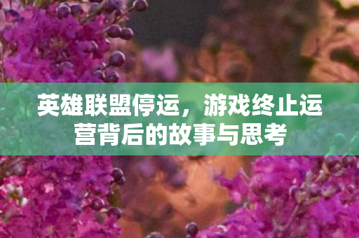 游戏终止运营背后的故事与思考图片