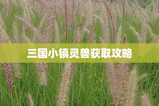 三国小镇灵兽获取攻略图片