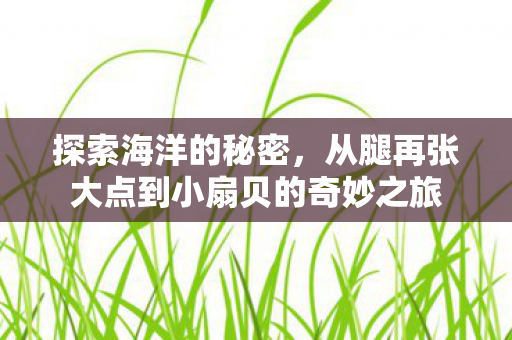 从腿再张大点到小扇贝的奇妙之旅图片