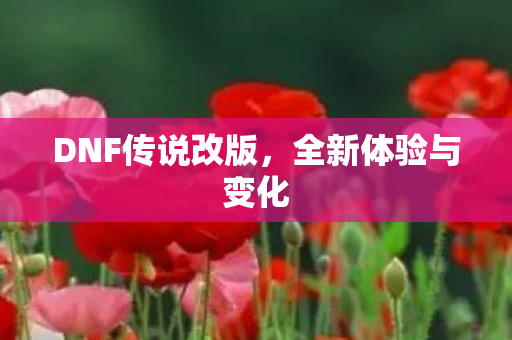 DNF传说改版图片