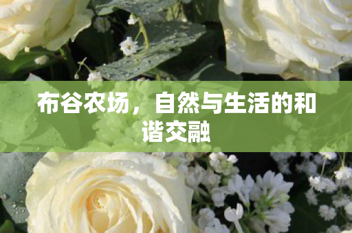 自然与生活的和谐交融图片