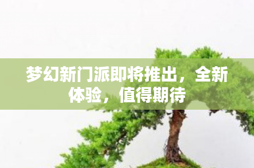 梦幻新门派即将推出图片