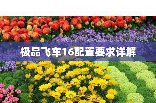极品飞车16配置要求详解图片