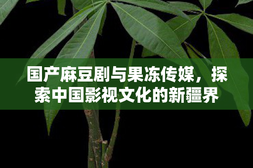 探索中国影视文化的新疆界图片