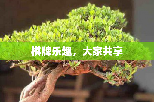 棋牌乐趣图片