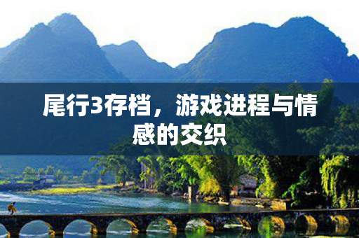 游戏进程与情感的交织图片