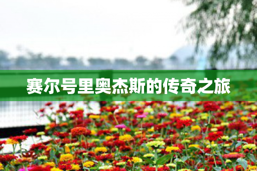 赛尔号里奥杰斯的传奇之旅图片