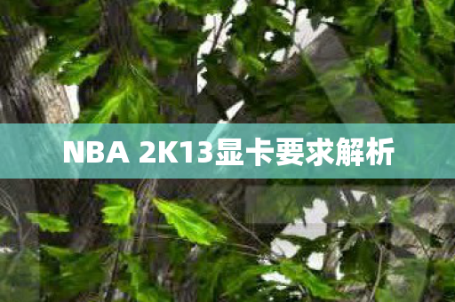 NBA 2K13显卡要求解析图片