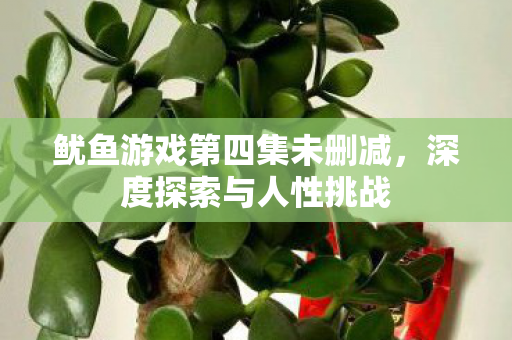 鱿鱼游戏第四集未删减图片