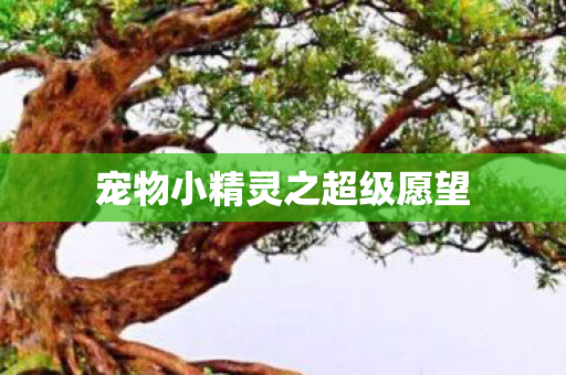 宠物小精灵之超级愿望图片