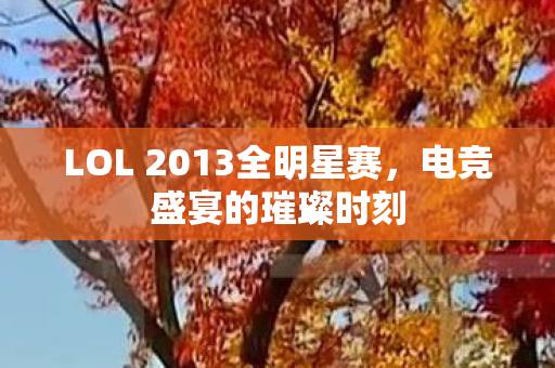 LOL 2013全明星赛图片