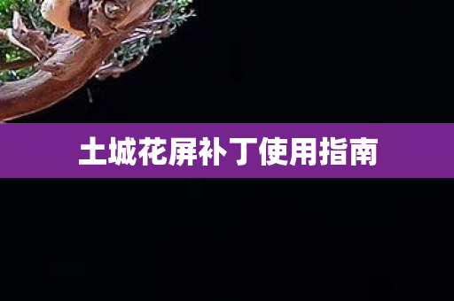 土城花屏补丁使用指南图片