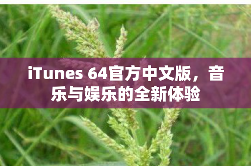 iTunes 64官方中文版图片