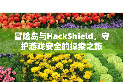 冒险岛与HackShield图片