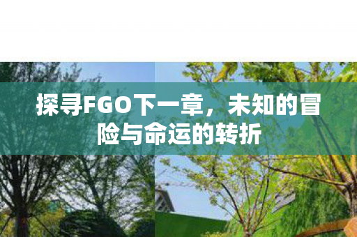 未知的冒险与命运的转折图片