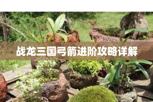 战龙三国弓箭进阶攻略详解图片