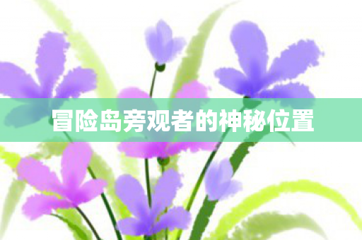 冒险岛旁观者的神秘位置图片