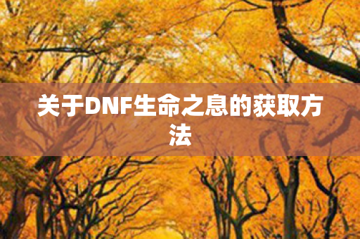 关于DNF生命之息的获取方法图片