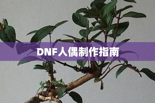 DNF人偶制作指南图片
