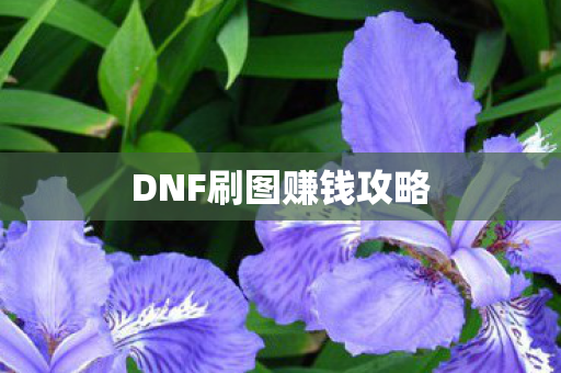 DNF刷图赚钱攻略图片