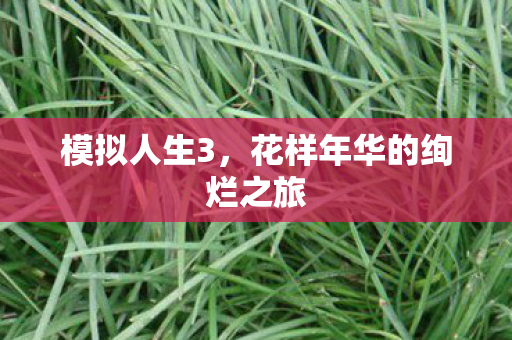 花样年华的绚烂之旅图片