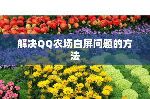 解决QQ农场白屏问题的方法图片