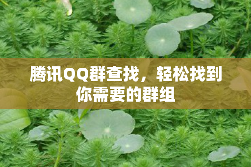 轻松找到你需要的群组图片
