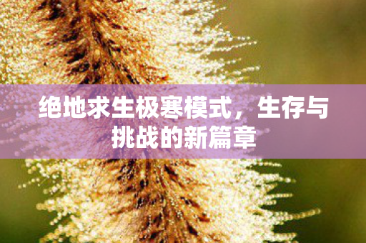 生存与挑战的新篇章图片