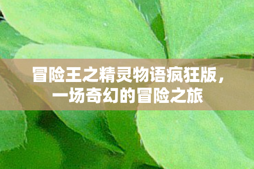 冒险王之精灵物语疯狂版图片