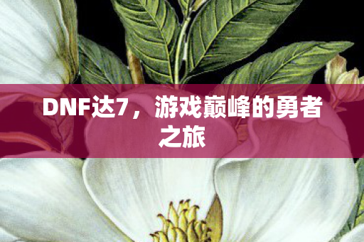 游戏巅峰的勇者之旅图片