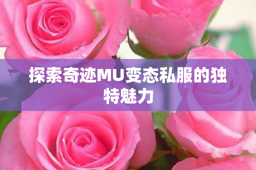 探索奇迹MU变态私服的独特魅力图片