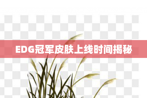 EDG冠军皮肤上线时间揭秘图片
