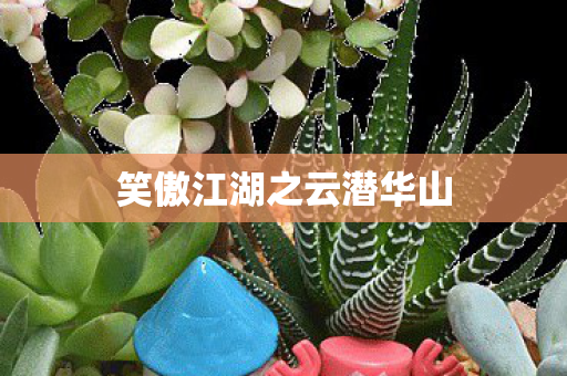 笑傲江湖之云潜华山图片