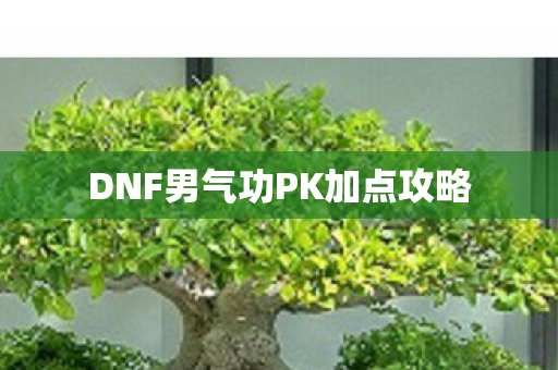 DNF男气功PK加点攻略图片