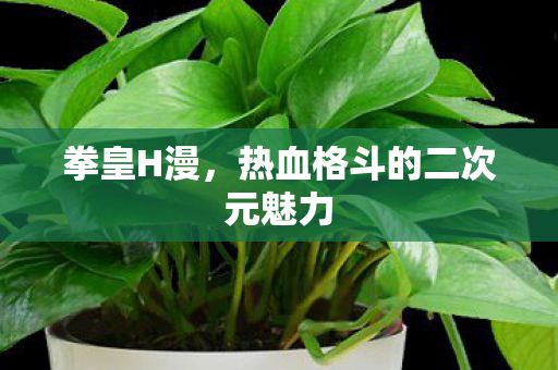 热血格斗的二次元魅力图片