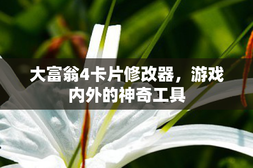 大富翁4卡片修改器图片