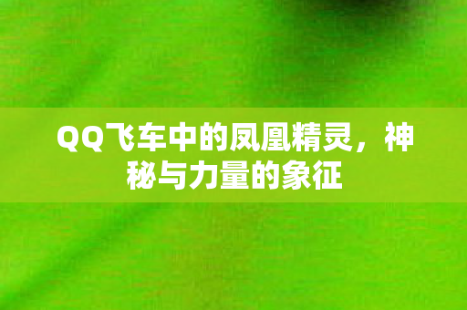 QQ飞车中的凤凰精灵图片