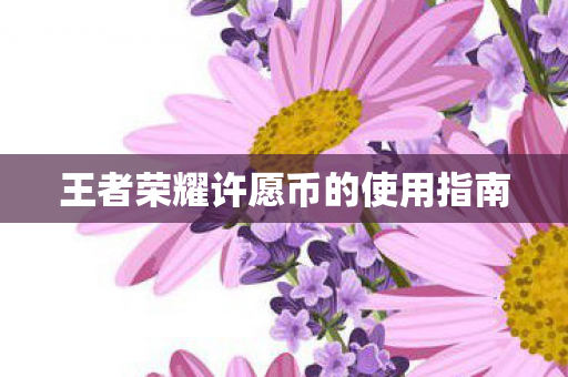 王者荣耀许愿币的使用指南图片