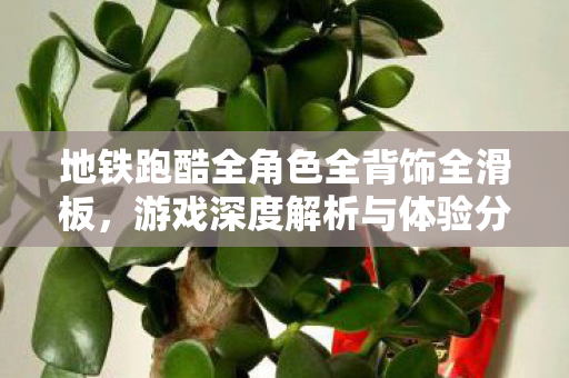 地铁跑酷全角色全背饰全滑板图片