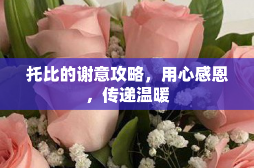 托比的谢意攻略图片