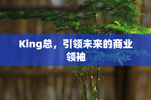 引领未来的商业领袖图片