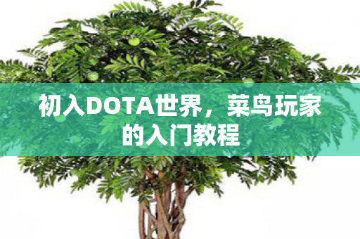菜鸟玩家的入门教程图片