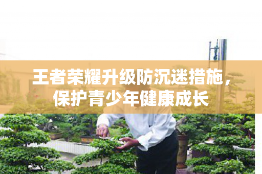 王者荣耀升级防沉迷措施图片