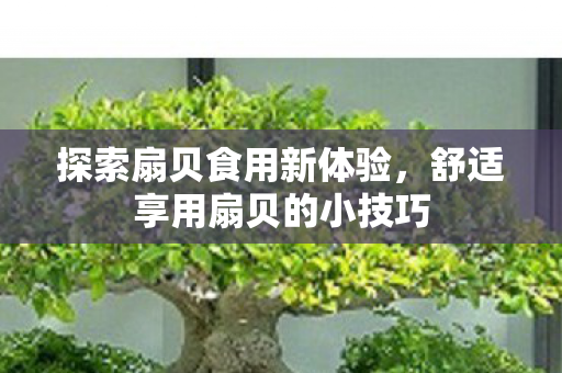 舒适享用扇贝的小技巧图片