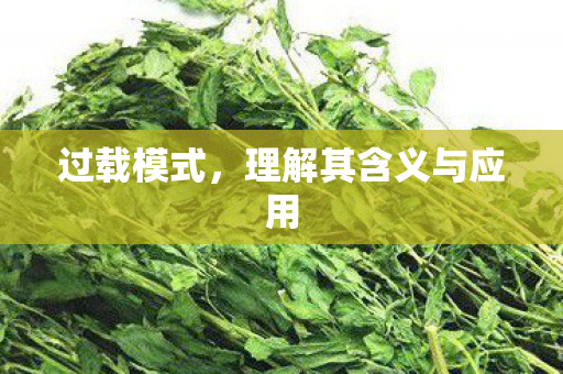理解其含义与应用图片