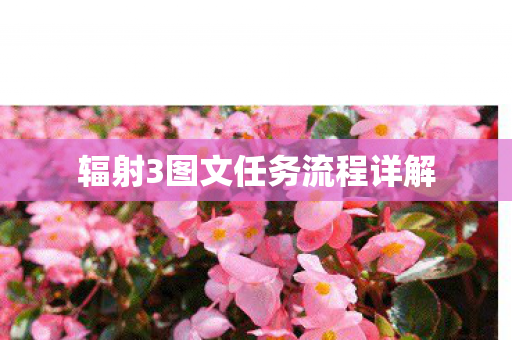 辐射3图文任务流程详解图片