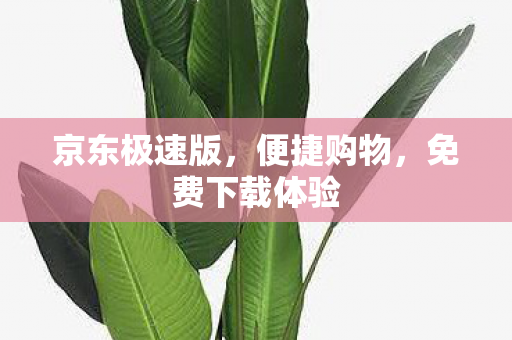 免费下载体验图片