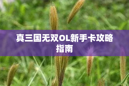 真三国无双OL新手卡攻略指南图片