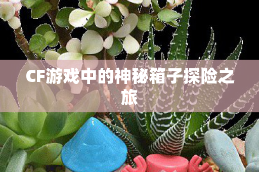 CF游戏中的神秘箱子探险之旅图片